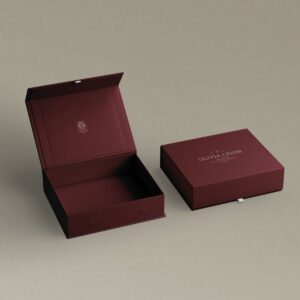 Custom Premium Packaging Boxes