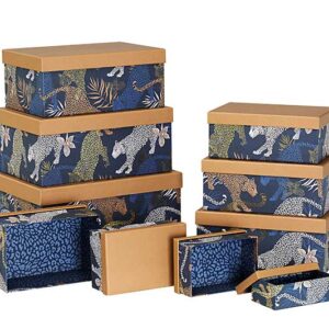 Durable Archive Boxes